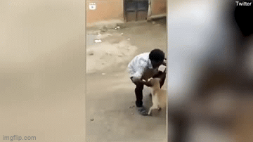 Tấn công chú chó dã man, người đàn ông gặp quả báo nhãn tiền, dân mạng: Lần sau chừa nhé - Ảnh 4.