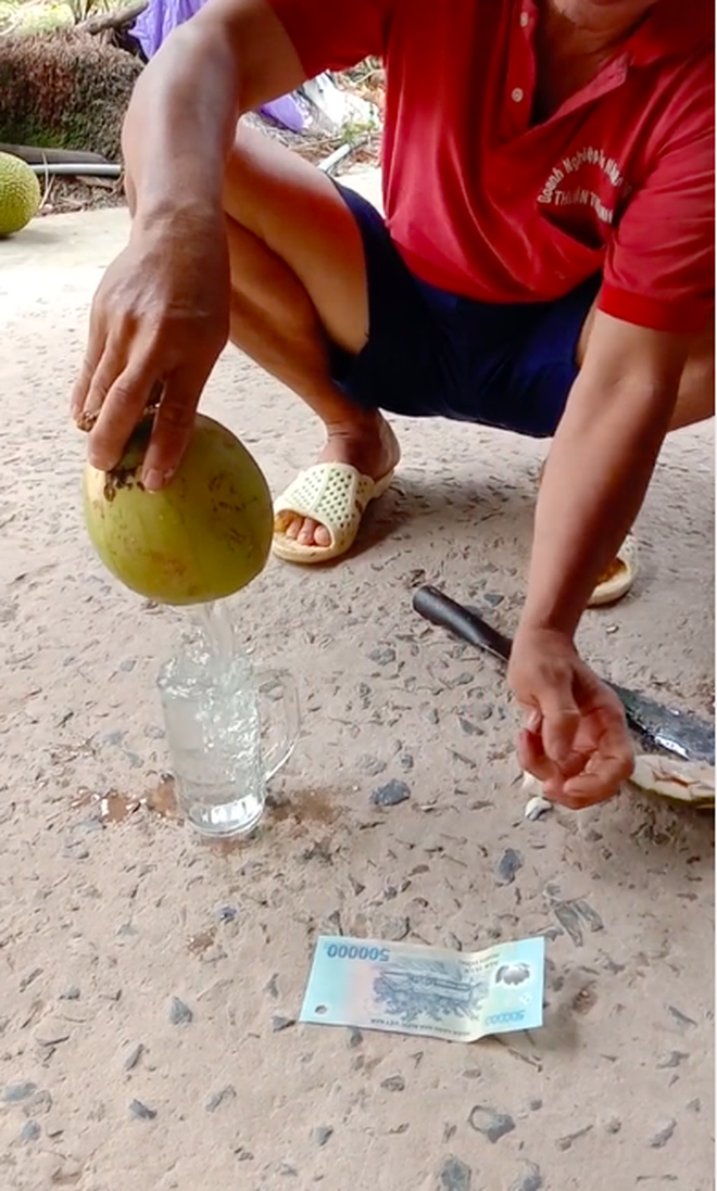 Ly nước dừa đắt nhất Việt Nam hôm nay, muốn uống phải mất 500k đầy chua chát? - Ảnh 4.