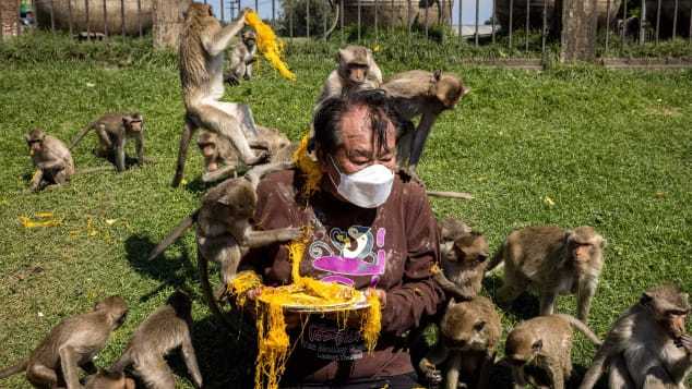 Bữa tiệc 2 tấn rau quả dành cho khỉ trong lễ hội đặc biệt ở Thái Lan - Ảnh 8.