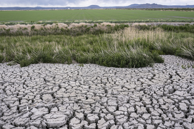 California dựa vào khí đốt tự nhiên để thắp sáng trong mùa đông này - Ảnh 2.