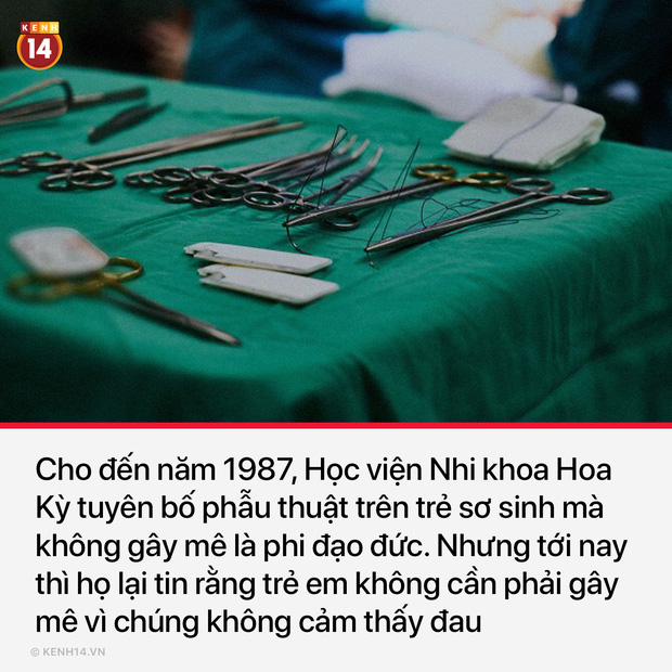 15 sự thật thú vị và rùng rợn sẽ làm bạn có cái nhìn mới mẻ về thế giới quanh mình - Ảnh 10.