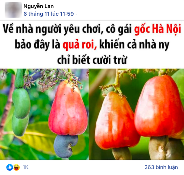 Về nhà người yêu chơi, cô gái Hà Nội gọi tên quả này mà khiến cả gia đình bạn trai bụm miệng cười vì một lý do - Ảnh 1.