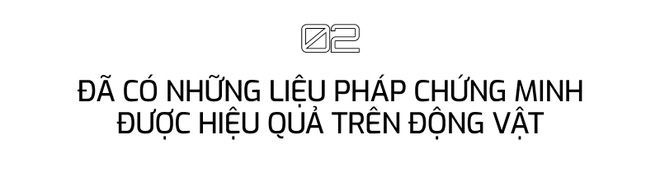 Big Tech sẽ giúp chúng ta có thuốc kéo dài tuổi thọ trong 10 năm tới: Hậu quả của điều đó là gì? - Ảnh 7.