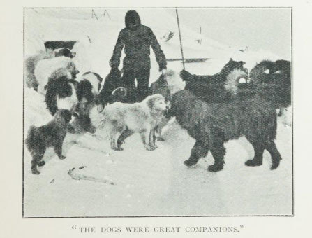 Nam Cực lục địa chứa đựng đầy đau đớn và hi sinh của loài chó - Ảnh 2.