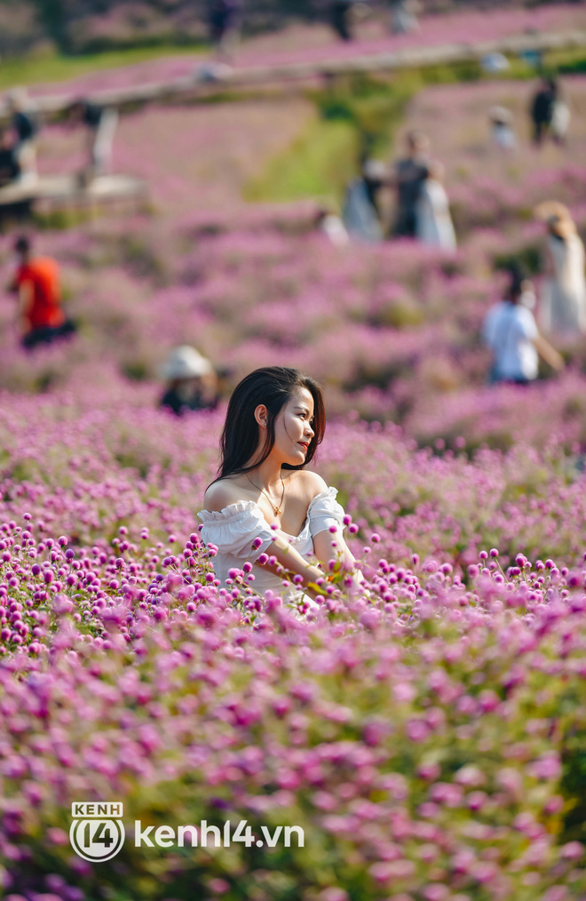 Ảnh: Điểm danh những vườn hoa hot nhất Hà Nội đang được giới trẻ rần rần kéo đến check in - Ảnh 15.