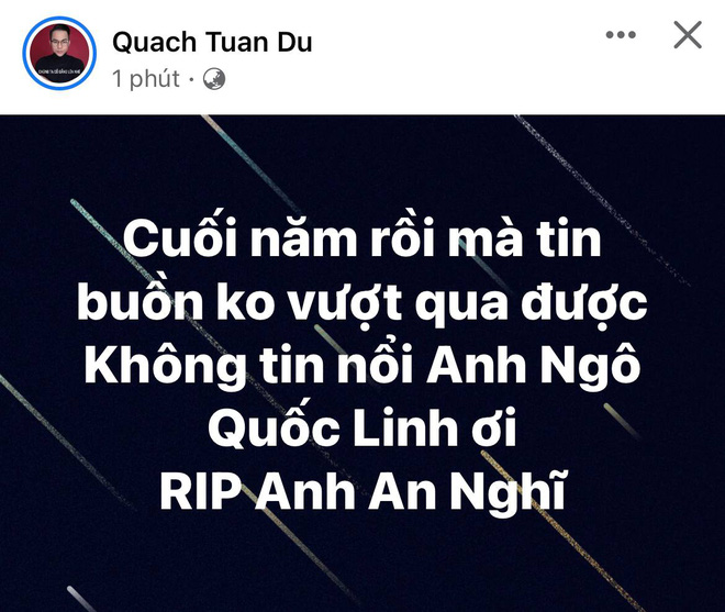 Ca sĩ Ngô Quốc Linh qua đời - Ảnh 4.