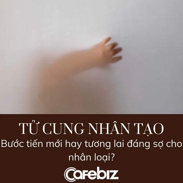 Tử cung nhân tạo: Tương lai phụ nữ không phải mang nặng đẻ đau vì đã có máy móc làm thay - Ảnh 1.