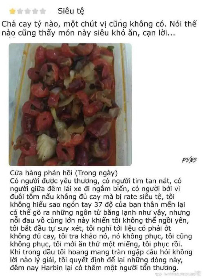 Vào an ủi chủ nhà hàng Phú Quốc đang tổn thương, dân mạng phát hiện tất cả bị lừa? - Ảnh 5.