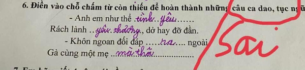  Cô bé không hiểu bài nên điền bừa tục ngữ Tiếng Việt, lầy đến mức chị gái cũng phải ôm đầu: Ôi chết mất! - Ảnh 1.