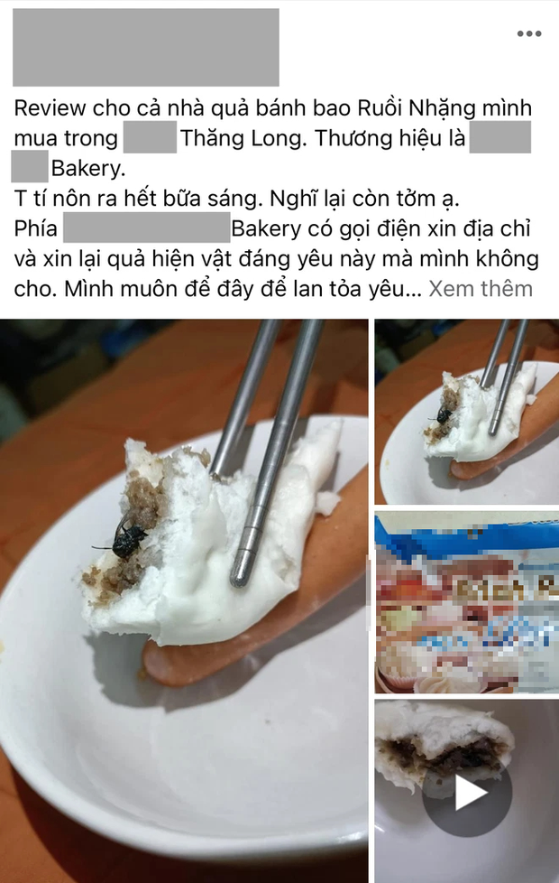 Đây là cái bánh bao thị phi nhất hôm nay: Mua trong siêu thị hẳn hoi, bẻ ra bên trong có nguyên bé ruồi tăng trọng siêu béo? - Ảnh 1.