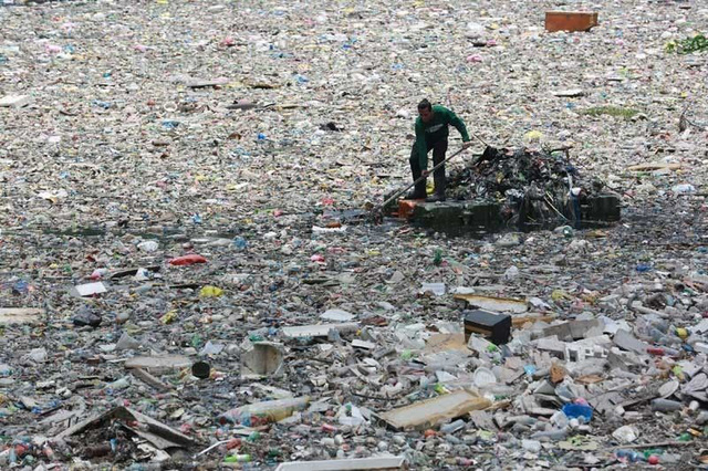 Sau 160 năm con người xả rác nhựa vào môi trường, vi khuẩn đã tiến hóa để ăn được chúng - Ảnh 8.