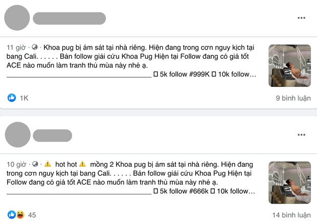 Lan truyền thông tin Khoa Pug bị ám sát tại nhà riêng, đang trong cơn nguy kịch: Sự thật gây phẫn nộ! - Ảnh 2.