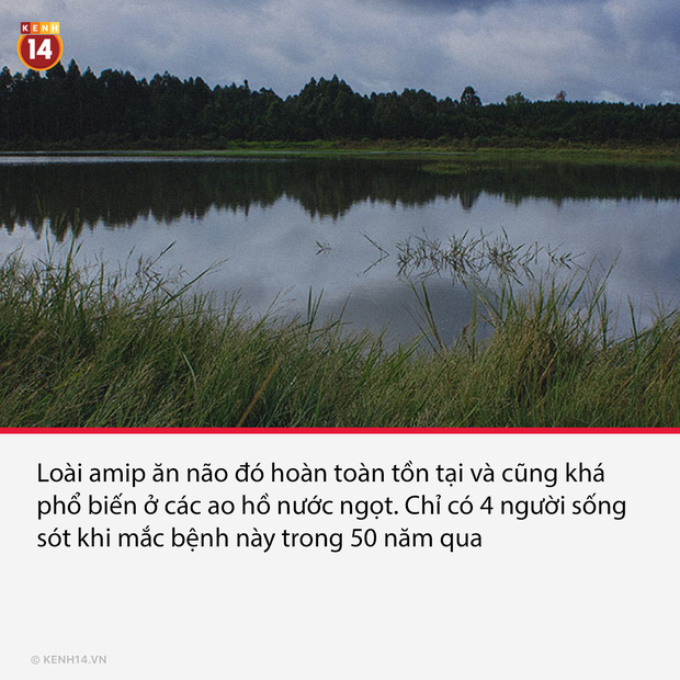 15 sự thật thú vị nhưng vô cùng ám ảnh, thể hiện một góc khác của thực tại chúng ta sống - Ảnh 13.