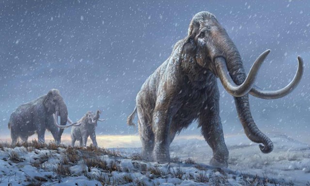 Hóa thạch voi ma mút kỷ băng hà được khai quật ở Cotswolds sau 220.000 năm - Ảnh 3.