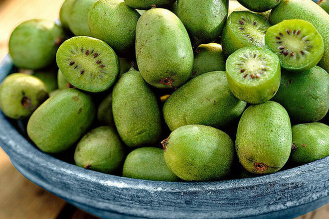 Có một loại quả gây lú vì thoạt nhìn tựa như nhót đến lúc bổ ra lại giống kiwi, rốt cuộc tên của nó là gì? - Ảnh 3.