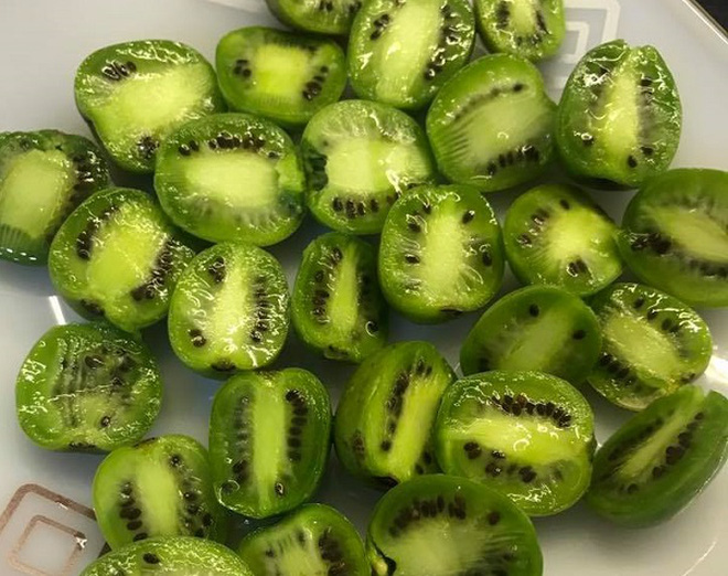 Có một loại quả gây lú vì thoạt nhìn tựa như nhót đến lúc bổ ra lại giống kiwi, rốt cuộc tên của nó là gì? - Ảnh 4.