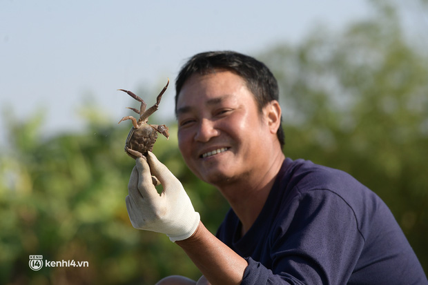 Theo chân ngư phủ săn loài cua lông kỳ lạ kiếm tiền triệu mỗi ngày, chỉ xuất hiện vào mùa lạnh - Ảnh 4.