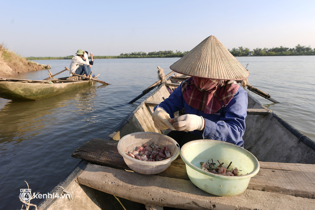 Theo chân ngư phủ săn loài cua lông kỳ lạ kiếm tiền triệu mỗi ngày, chỉ xuất hiện vào mùa lạnh - Ảnh 7.