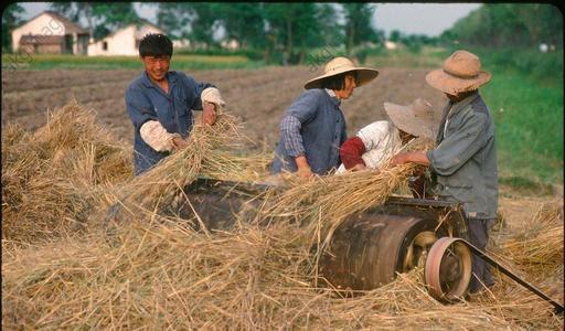 Giáo sư nổi tiếng tuyên bố: Khi trẻ lười học, thay vì đánh mắng hãy đưa con đến 6 nơi này! - Ảnh 2.