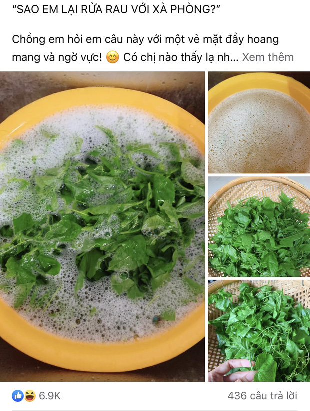 Một đợt dân mạng thi nhau rửa rau với xà phòng khiến người nhà ngã ngửa, sự thật còn gây bất ngờ hơn - Ảnh 2.