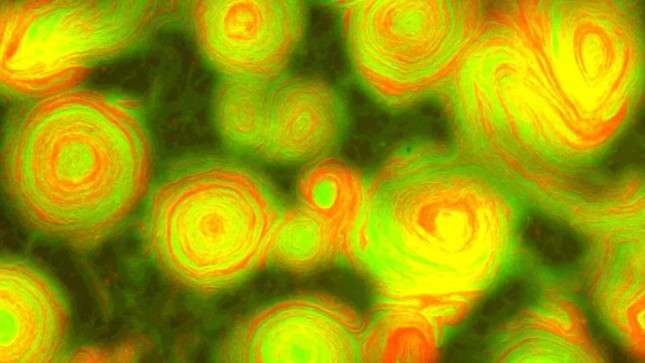 Bất ngờ phát hiện hình ảnh vi khuẩn đột biến đẹp như tranh của Van Gogh - Ảnh 1.
