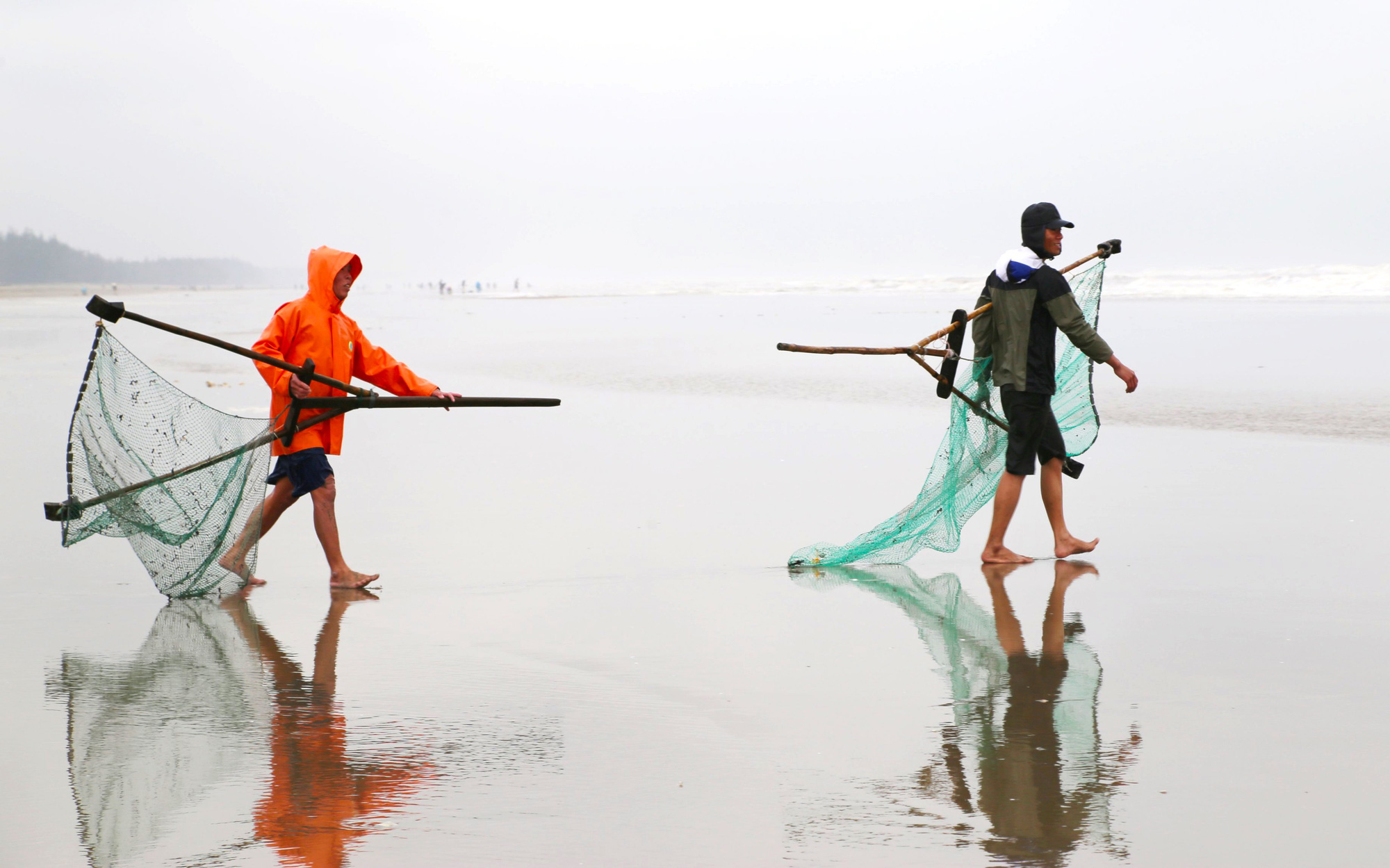Ra biển vớt lộc l&uacute;c tr&aacute;i gi&oacute; trở trời, người d&acirc;n thu nhập tiền triệu mỗi ng&agrave;y - Ảnh 2.