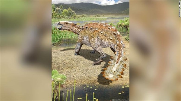 Chile: Phát hiện loài khủng long “bọc thép” mới có chiếc đuôi kỳ lạ - Ảnh 1.