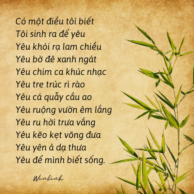 Biết buông bỏ muộn phiền, ắt sống một đời an yên! - Ảnh 2.