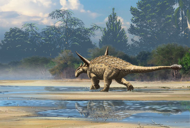 Lần đầu tiên phát hiện một loài khủng long có vũ khí chém - Ảnh 6.