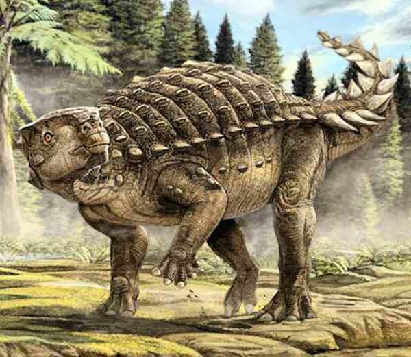 Lần đầu tiên phát hiện một loài khủng long có vũ khí chém - Ảnh 11.