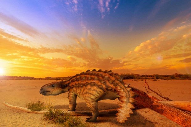 Lần đầu tiên phát hiện một loài khủng long có vũ khí chém - Ảnh 13.