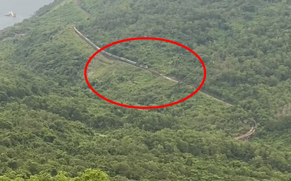Thêm 1 clip ghi lại cảnh rắn hổ mây khổng lồ trườn cực nhanh trên sườn núi ở Việt Nam: Nhìn ở góc độ nào cũng phải trầm trồ - Ảnh 2.