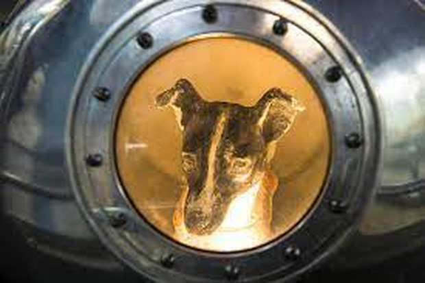 Laika - chú chó đầu tiên bay vào vũ trụ: Cái kết “đã định trước” và hành trình lịch sử dài 103 phút khiến thế giới quặn đau mỗi khi nhớ lại - Ảnh 3.
