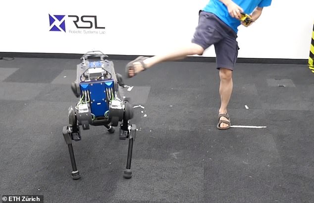 Con robot 4 chân này có thể chạy với tốc độ 23 km/h để giao hàng tới tận cửa nhà bạn - Ảnh 5.