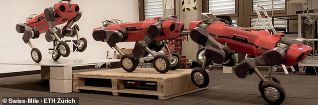 Con robot 4 chân này có thể chạy với tốc độ 23 km/h để giao hàng tới tận cửa nhà bạn - Ảnh 6.