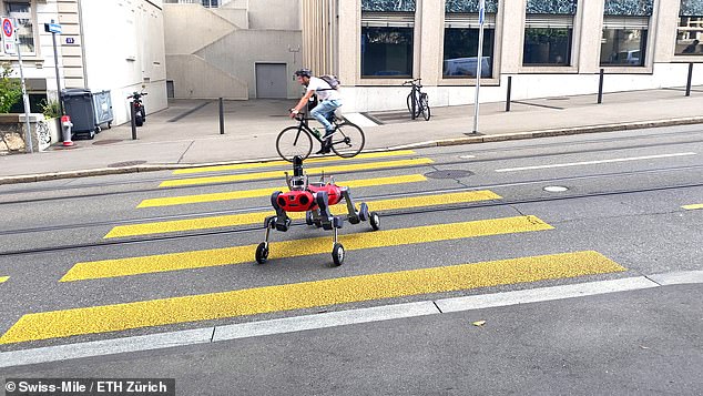 Con robot 4 chân này có thể chạy với tốc độ 23 km/h để giao hàng tới tận cửa nhà bạn - Ảnh 7.