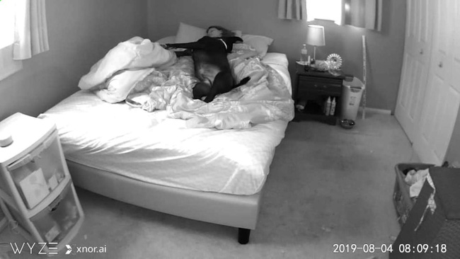 Luôn thức dậy với tư thế kỳ lạ khi ngủ chung với chó cưng, cô gái lắp camera mới biết chính mình là thủ phạm còn con vật thì ngoan ơi là ngoan - Ảnh 2.
