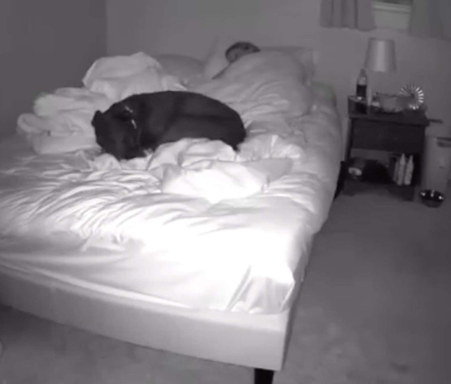 Luôn thức dậy với tư thế kỳ lạ khi ngủ chung với chó cưng, cô gái lắp camera mới biết chính mình là thủ phạm còn con vật thì ngoan ơi là ngoan - Ảnh 3.