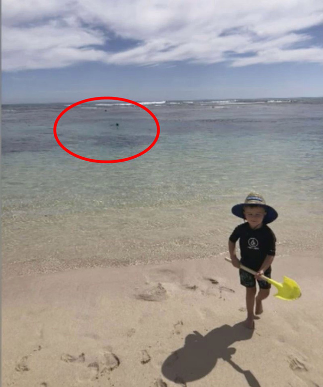 Để con chơi trên bờ rồi xuống lặn biển, ông bố chết bí ẩn trước khi bị cá mập ăn thịt, tấm ảnh cuối cùng cậu bé được chụp với bố gây ám ảnh khôn nguôi - Ảnh 1.