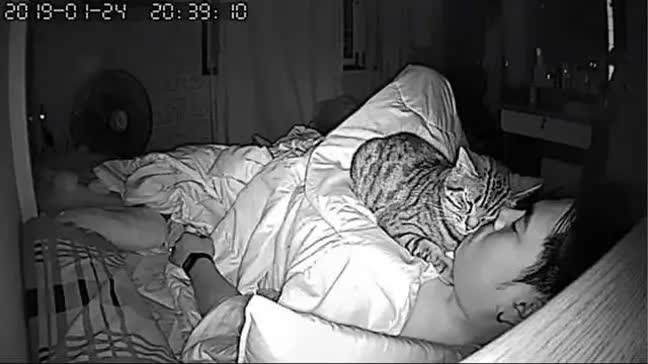 Thường thấy khó thở khi ngủ, chàng trai lắp camera liền bắt tại trận hành vi của mèo cưng nhưng thái độ của con vật sau đó còn buồn cười hơn - Ảnh 5.