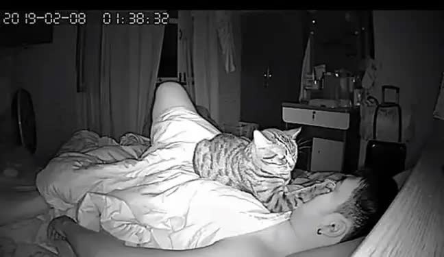 Thường thấy khó thở khi ngủ, chàng trai lắp camera liền bắt tại trận hành vi của mèo cưng nhưng thái độ của con vật sau đó còn buồn cười hơn - Ảnh 3.