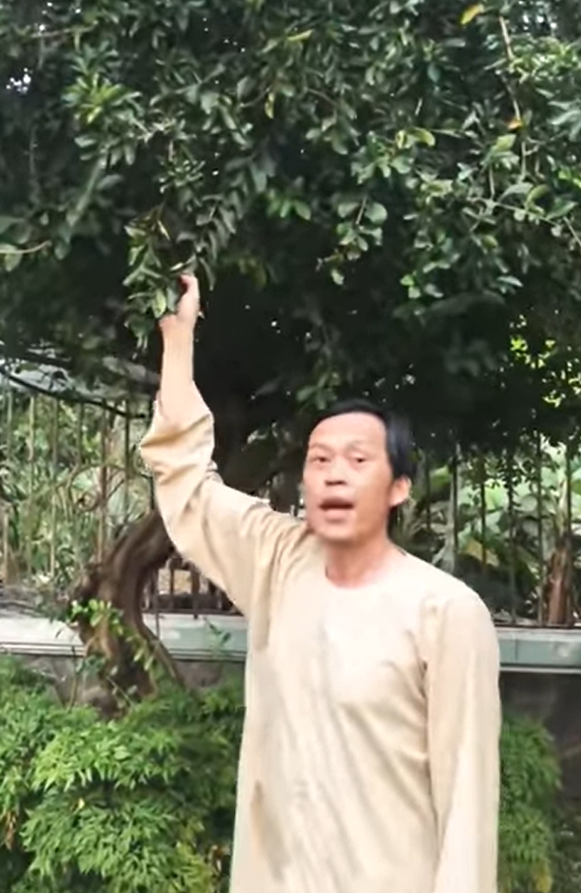 Hoài Linh khoe vườn nhà thờ Tổ, hài hước: Có người vào trả cây này 8 tỷ nhưng tôi không bán - Ảnh 4.
