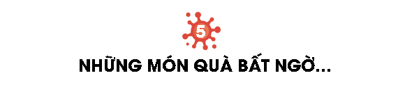 Một biên niên sử về virus: Từ những thiên thần của tiến hóa tới cơn ác mộng COVID-19 - Ảnh 11.