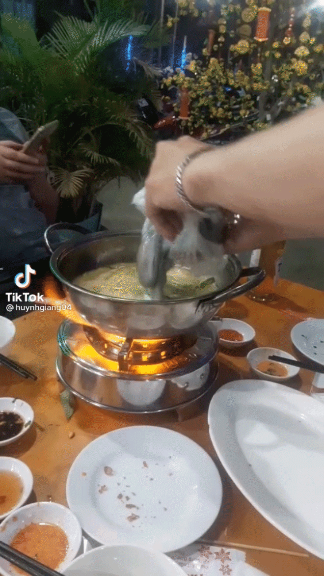 Cư dân mạng tranh cãi kịch liệt trước cảnh tượng nhúng bạch tuộc tàn nhẫn, có người kêu thà nhịn còn hơn - Ảnh 1.