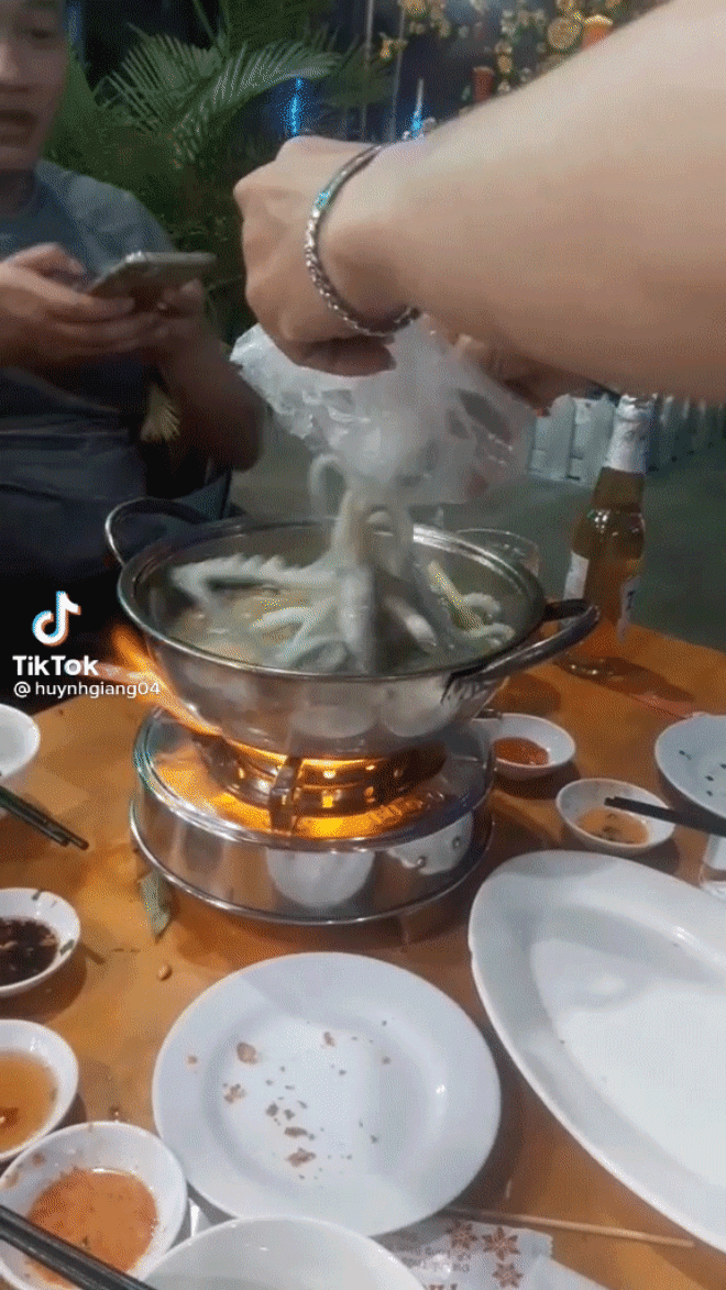 Cư dân mạng tranh cãi kịch liệt trước cảnh tượng nhúng bạch tuộc tàn nhẫn, có người kêu thà nhịn còn hơn - Ảnh 2.