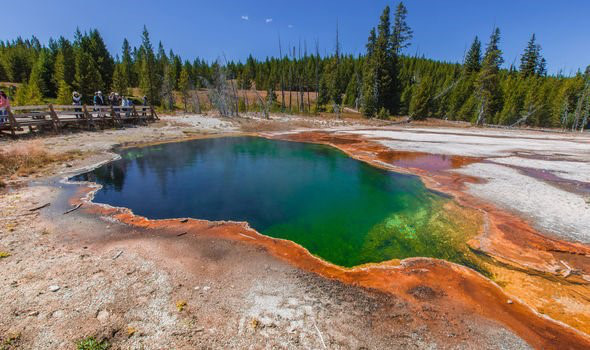 Phát hiện mạch nước ngầm phun trào cao nhất thế giới tại Yellowstone - Ảnh 3.