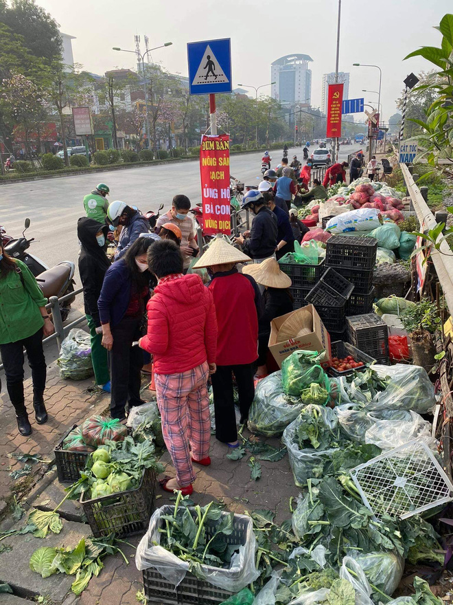 Người Hà Nội đội nắng, nườm nượp đến giải cứu nông sản cho nông dân Hải Dương: 15 tấn rau bán hết veo trong vòng vài tiếng - Ảnh 5.