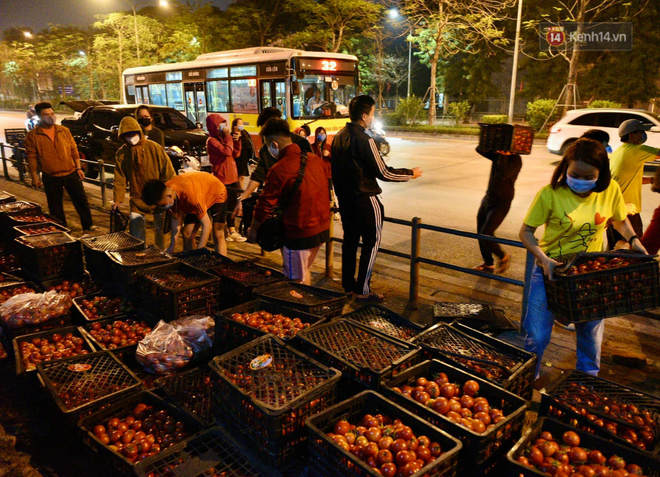 Hà Nội: Hàng chục tấn rau củ quả từ Hải Dương về điểm giải cứu, người dân chờ đợi và mua ngay trong đêm - Ảnh 10.