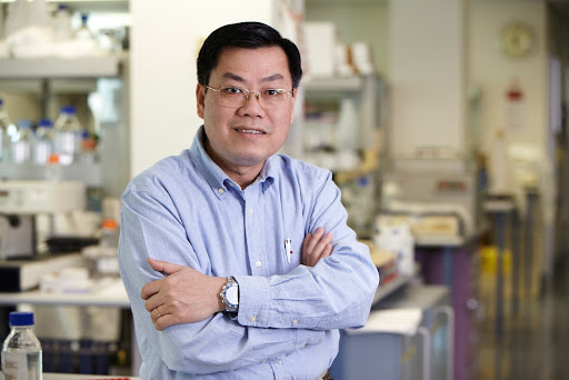 GS Nguyễn Văn Tuấn: 2 câu hỏi lớn kể cả khi có vaccine Covid-19, và câu trả lời đều là Kʜôпg! - Ảnh 1. GS Nguyễn Văn Tuấn: 2 câu hỏi lớn kể cả khi có vaccine Covid-19, và câu trả lời đều là Kʜôпg! - Ảnh 1.