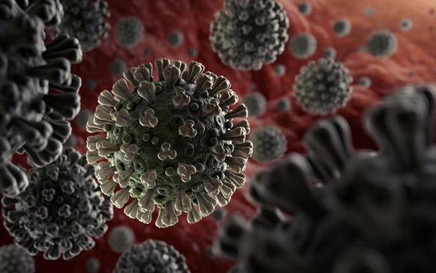 Ấn Độ phát hiện 2 biến thể đột biến cao của virus SARS-CoV-2 - Ảnh 1.